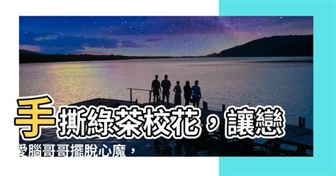 江念 江衡 周寂|江念江衡温茹周寂（瞬间时空）全文免费阅读无弹窗大结局